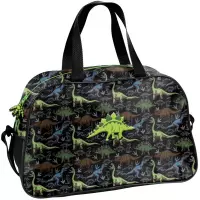 2. Paso Torba Sportowa Dino Small PP26DR-074