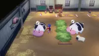 6. Story of Seasons: Grand Bazaar Limited Edition (NS)