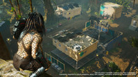 3. Predator: Hunting Grounds PL (PC) (klucz STEAM)