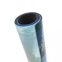 3. Gamegenic: Magic the Gathering - Lorwyn Eclipsed - Shiny Playmat - Mata do Gry - Hallowed Fountain