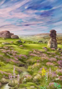 4. Leśne rozdanie: Dartmoor