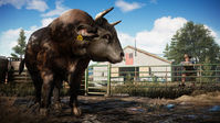 2. Far Cry 5 PL (Xbox One)