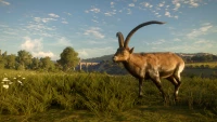 1. theHunter: Call of the Wild™ - Cuatro Colinas Game Reserve PL (DLC) (PC) (klucz STEAM)