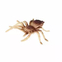 7. Mega Creative Zwierzęta Figurki Insekty 574074