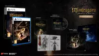 1. Mandragora: Whispers of the Witch Tree Collector´s Edition PL (PS5)