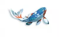 8. Koi (edycja polska)