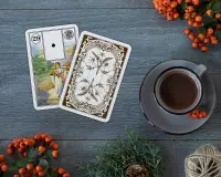 4. Piatnik Karty Tarot "Mlle Lenormand" 