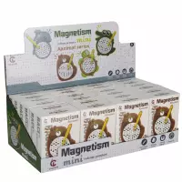 8. Mega Creative Mozaika Magnetyczna Kapibara 577463