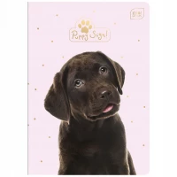 4. Interdruk Zeszyt A5 32 Kartki Kratka UV Puppy Sign 313911