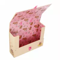 3. Starpak Teczka z Rączką A4 90 mm Kapibara 583312