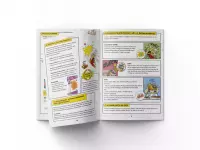 4. Asterix i spółka