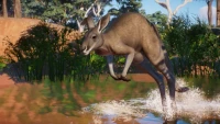 3. Planet Zoo: Australia Pack PL (DLC) (PC) (klucz STEAM)