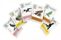 4. Na skrzydłach: Ptaki Ameryk