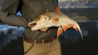 7. Call of the Wild: The Angler - South Africa Reserve PL (DLC) (PC) (klucz STEAM)