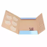 5. Starpak Teczka z Gumką Miś 583298