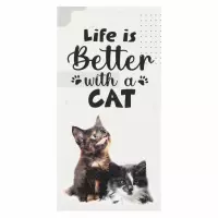 1. Starpak Zestaw Notes z Zakładkami Kitty 563055