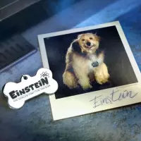 8. Zestaw Kolekcjonerski Powrót do Przyszłości - Pamiątki z Podróży w Czasie II