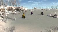 7. Ice Lakes (PC) (klucz STEAM) 