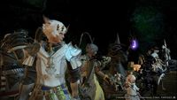 4. Final Fantasy XIV: A Realm Reborn (PC) DIGITAL