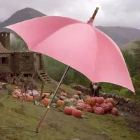 7. Harry Potter Replika 1:1 Parasolki Rebeusa Hagrida