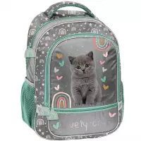 3. Paso Plecak Szkolny Grey Cat PP26CS-260