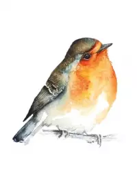 12. Meadow (wyd. angielskie)