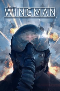 1. Project Wingman (PC) (klucz STEAM)