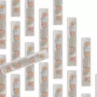 3. Starpak Linijka Plastikowa 20 cm Kapibara 578286