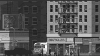 4. The Longest Road on Earth World Tour Bundle (PC) (klucz STEAM)