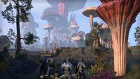 4. The Elder Scrolls Online - Morrowind Digital Collector's Edition (PC/MAC) DIGITAL (klucz ESO)