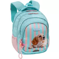 1. AstraBag Plecak Szkolny AB300 Puppy Line 502026047