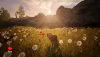 7. Adorable Adventures PL (PC) (klucz STEAM)