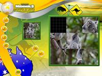 6. Wildlife Creative Studio (PC) (klucz STEAM)
