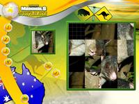 7. Wildlife Creative Studio (PC) (klucz STEAM)