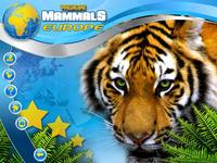 2. Wildlife Creative Studio (PC) (klucz STEAM)