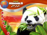 1. Wildlife Creative Studio (PC) (klucz STEAM)
