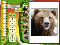 4. Wildlife Creative Studio (PC) (klucz STEAM)