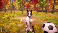 5. Animal Shelter 2 PL (PC) (klucz STEAM)