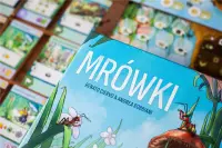 2. Mrówki