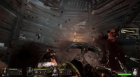 8. Warhammer: End Times - Vermintide Collector's Edition (PC) PL DIGITAL (klucz STEAM)