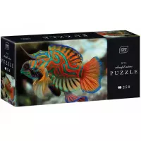 2. Interdruk Puzzle 250 el Colourf Nature 11 Mandarinfish 385574