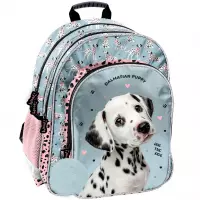 3. Paso Plecak Szkolny Dalmatyńczyk PP26DL-090