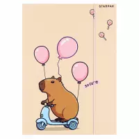 2. Starpak Teczka z Gumką Kapibara 583303