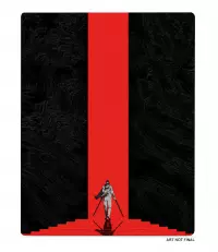 2. CONTROL Resonant Steelbook Edition PL (PS5)
