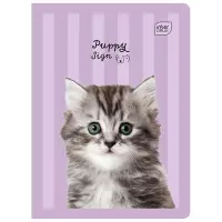 1. Interdruk Zeszyt A5 16 kartek kolorowa 3linia UV Puppy Sign 348272
