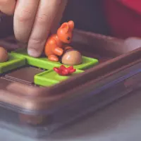 5. Smart Games Wiewiórki Atakują! (PL)