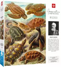 2. Good Loot Imagination Puzzle: Ernst Haeckel Chelonia / Żółwie morskie (1000 elementów)