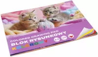 2. Blok Rysunkowy Kolorowy A4 20 kartek Kotki 587747