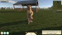 10. Animal Trainer Simulator PL (PC) (klucz STEAM)