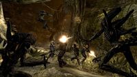 8. Aliens vs. Predator (PC) DIGITAL (klucz STEAM)
